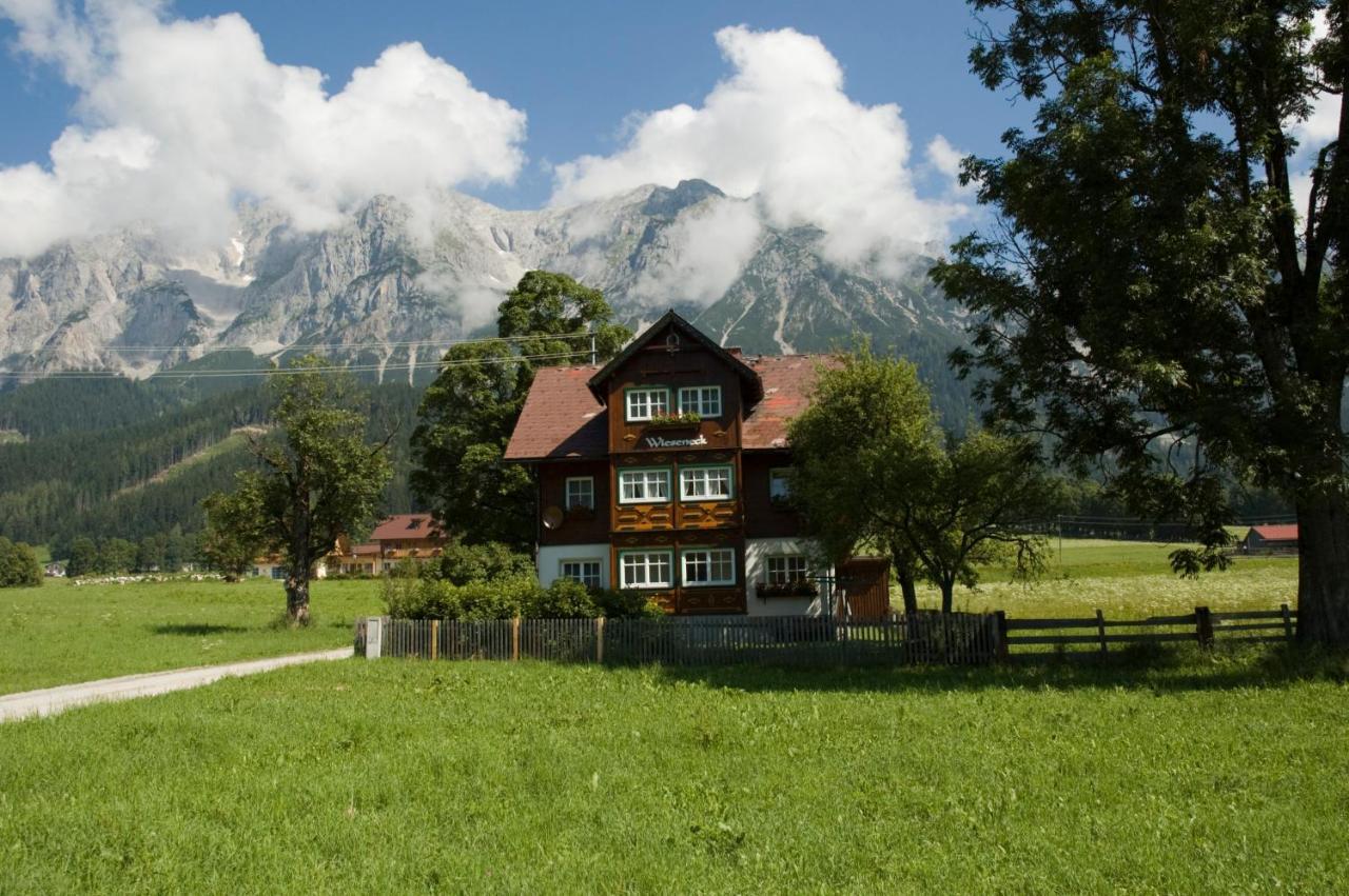 Appartements Wieseneck - Ramsau Am Dachstein - Inklusive Sommercard ! Ramsau am Dachstein Luaran gambar