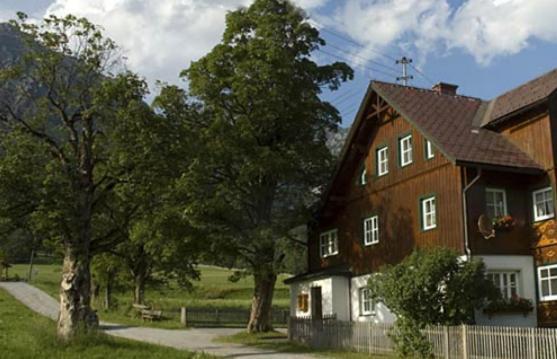 Appartements Wieseneck - Ramsau Am Dachstein - Inklusive Sommercard ! Ramsau am Dachstein Luaran gambar