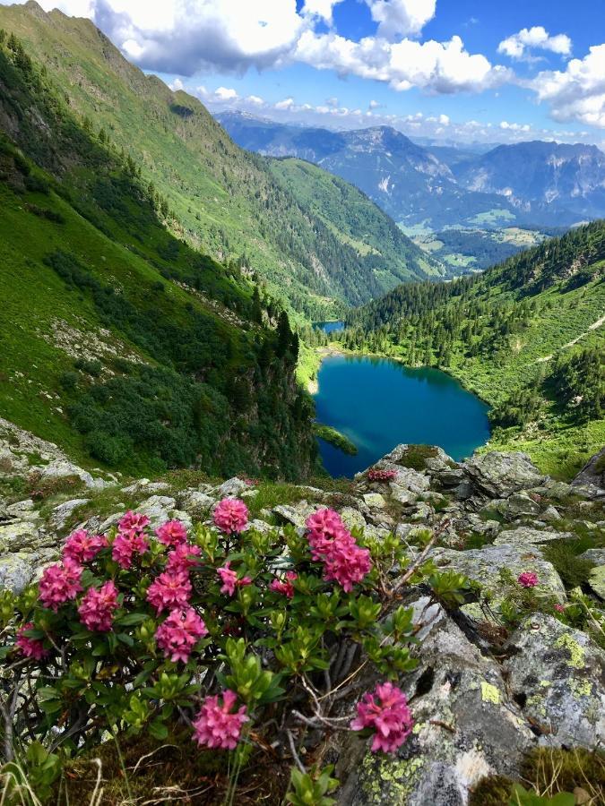 Appartements Wieseneck - Ramsau Am Dachstein - Inklusive Sommercard ! Ramsau am Dachstein Luaran gambar