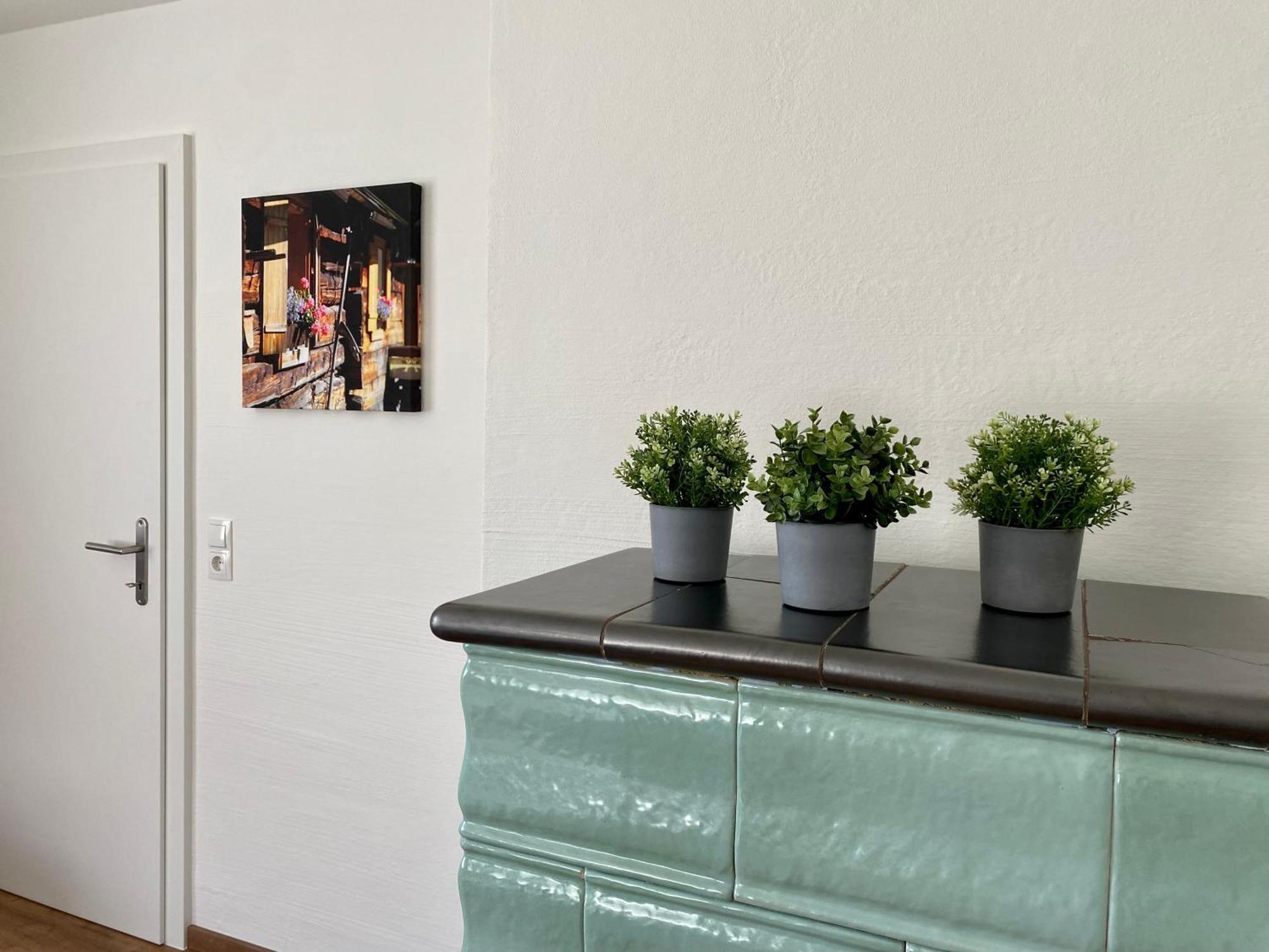 Appartements Wieseneck - Ramsau Am Dachstein - Inklusive Sommercard ! Ramsau am Dachstein Luaran gambar
