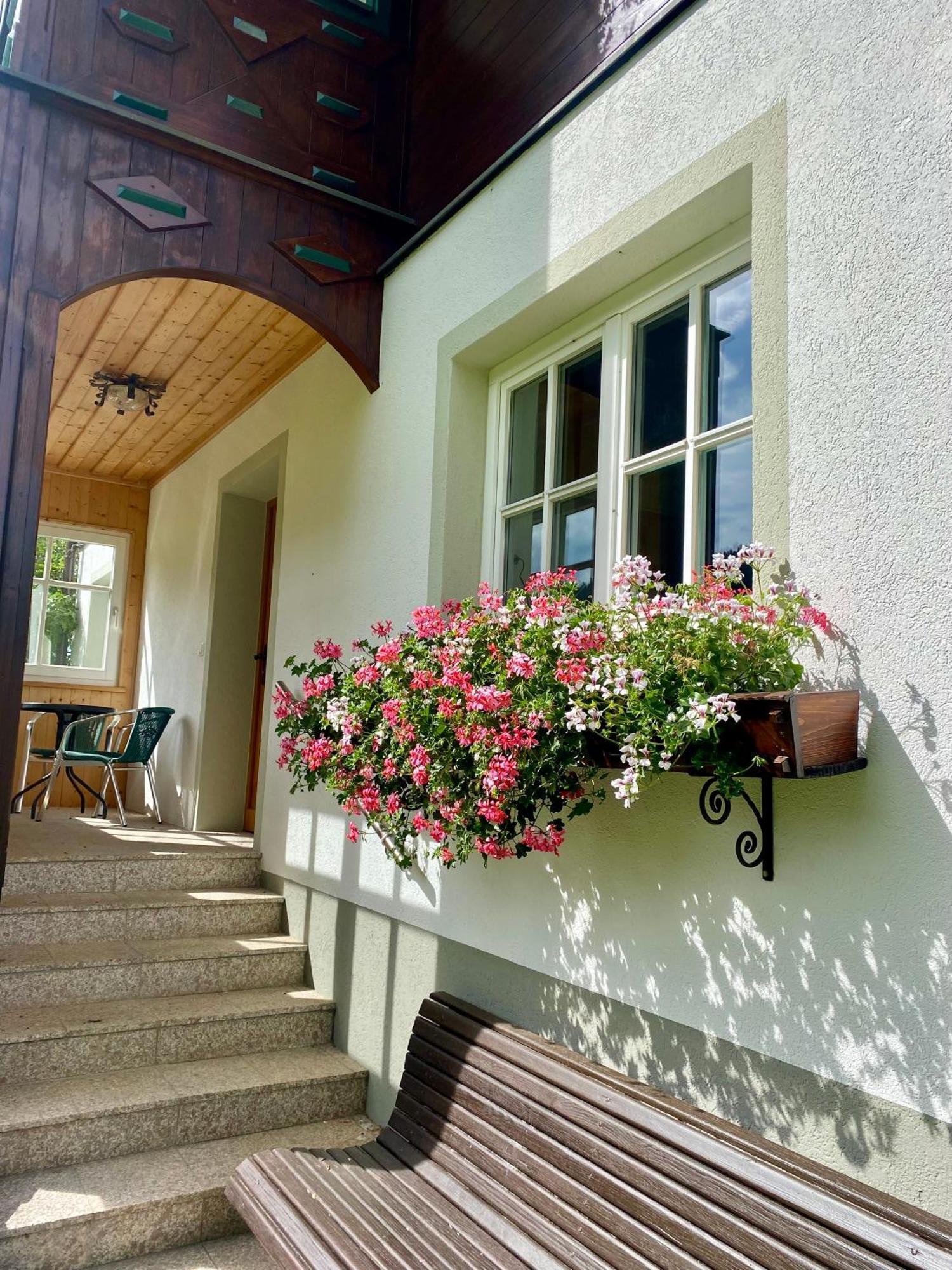Appartements Wieseneck - Ramsau Am Dachstein - Inklusive Sommercard ! Ramsau am Dachstein Luaran gambar